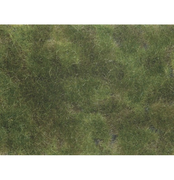 Foliáž – olivově zelená