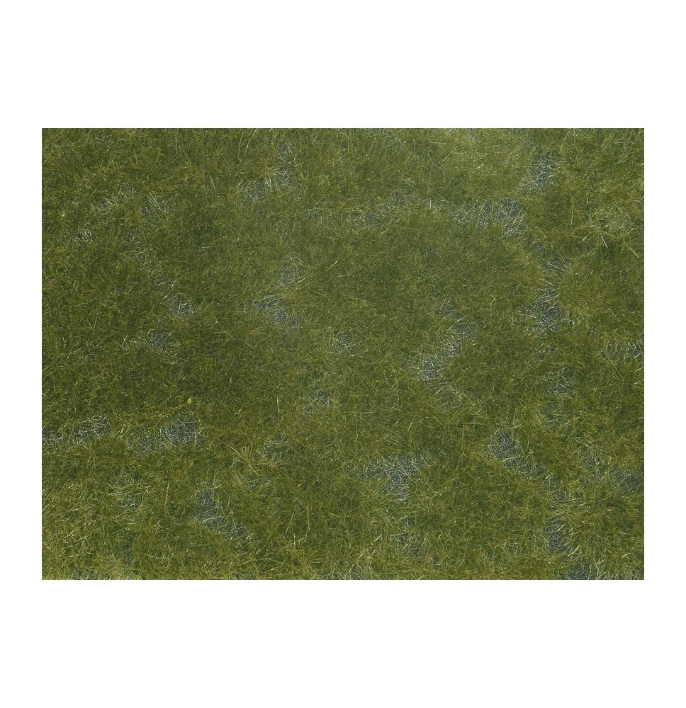 Foliáž – tmavě zelená