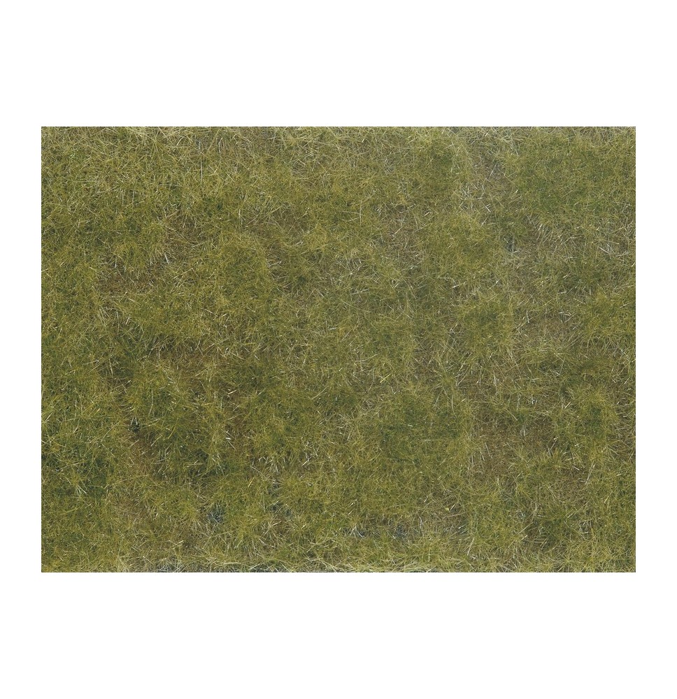 Foliáž – zelená-hnědá