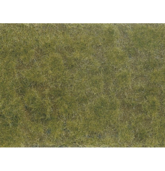 Foliáž – zelená-hnědá