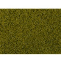 Foliáž – světle zelená