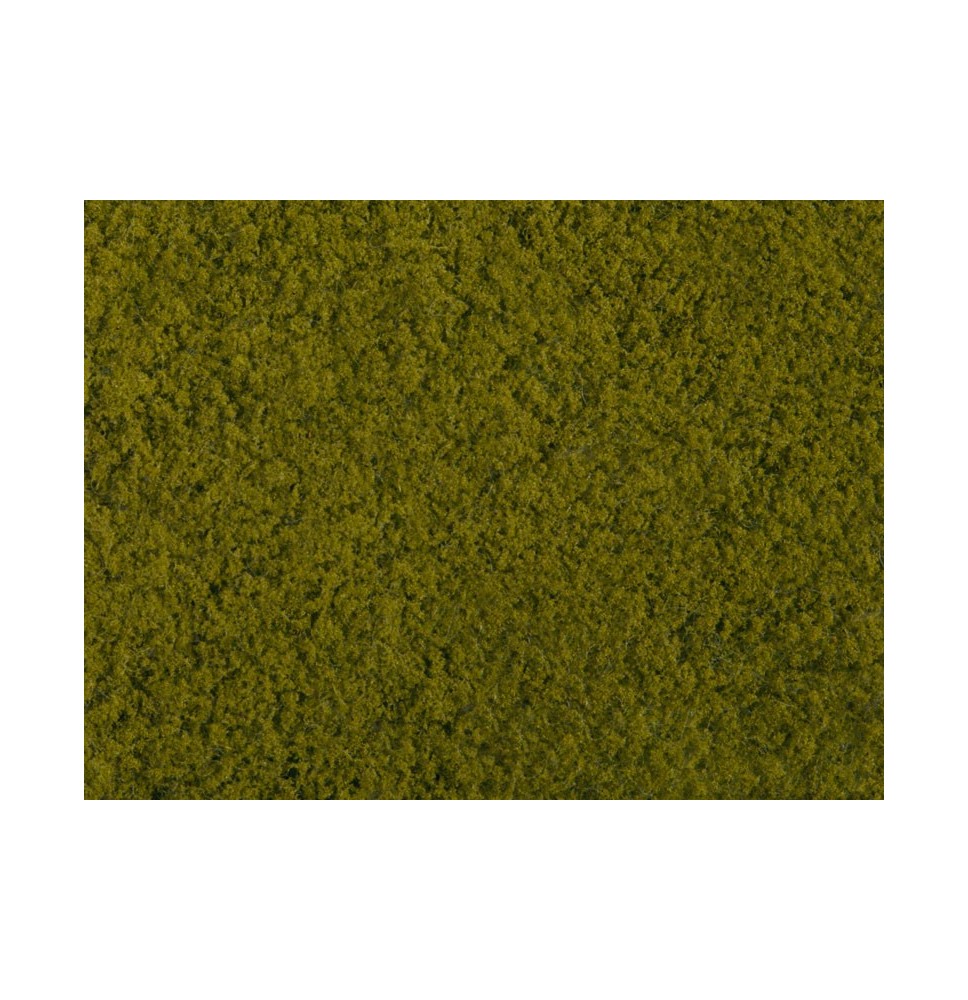 Foliáž – světle zelená