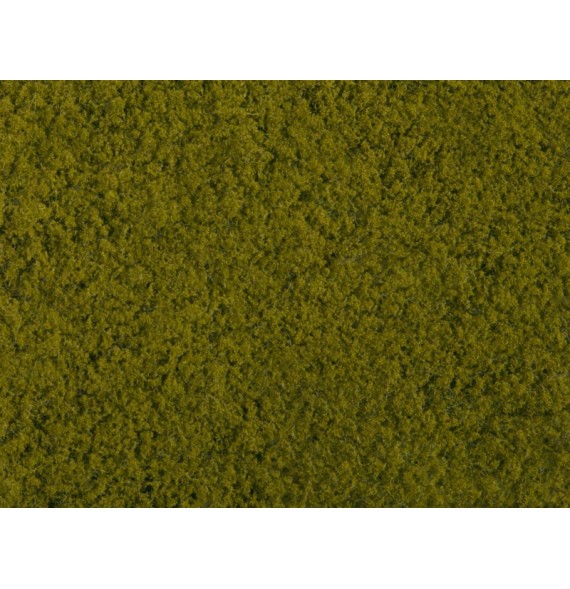 Foliáž – světle zelená