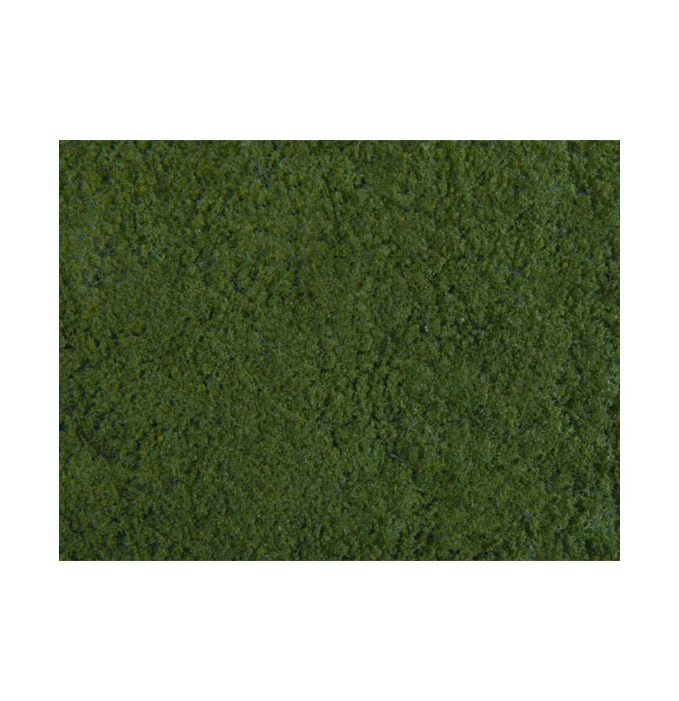 Foliáž – tmavě zelená