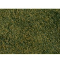 Foliáž – divoká tráva – světle zelená