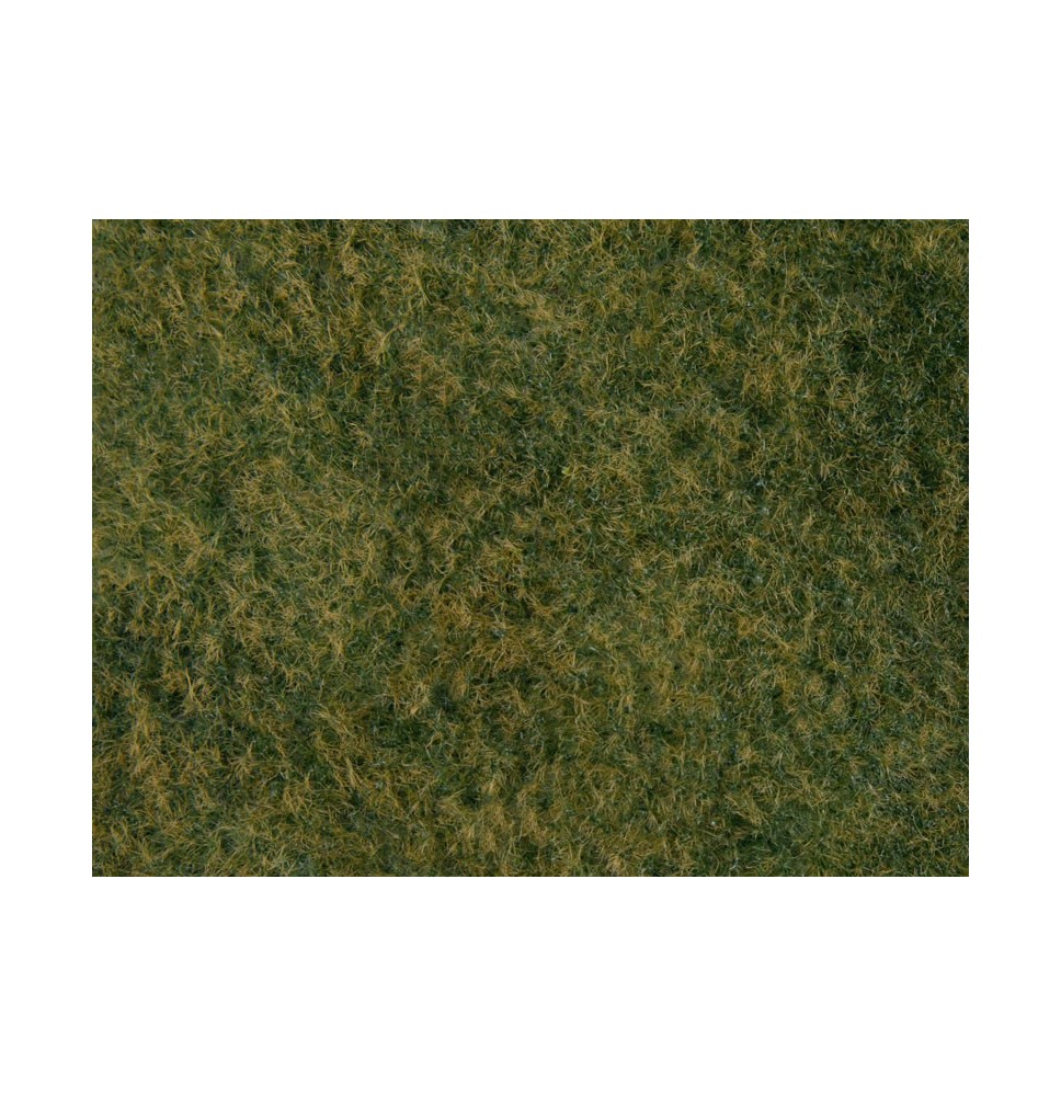 Foliáž – divoká tráva – světle zelená