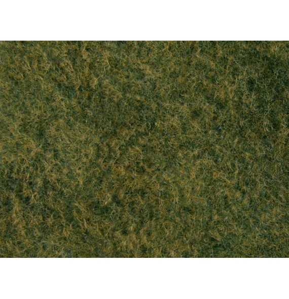 Foliáž – divoká tráva – světle zelená