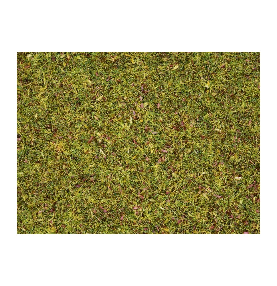 Statická tráva 2ˏ5 mm – květinová louka