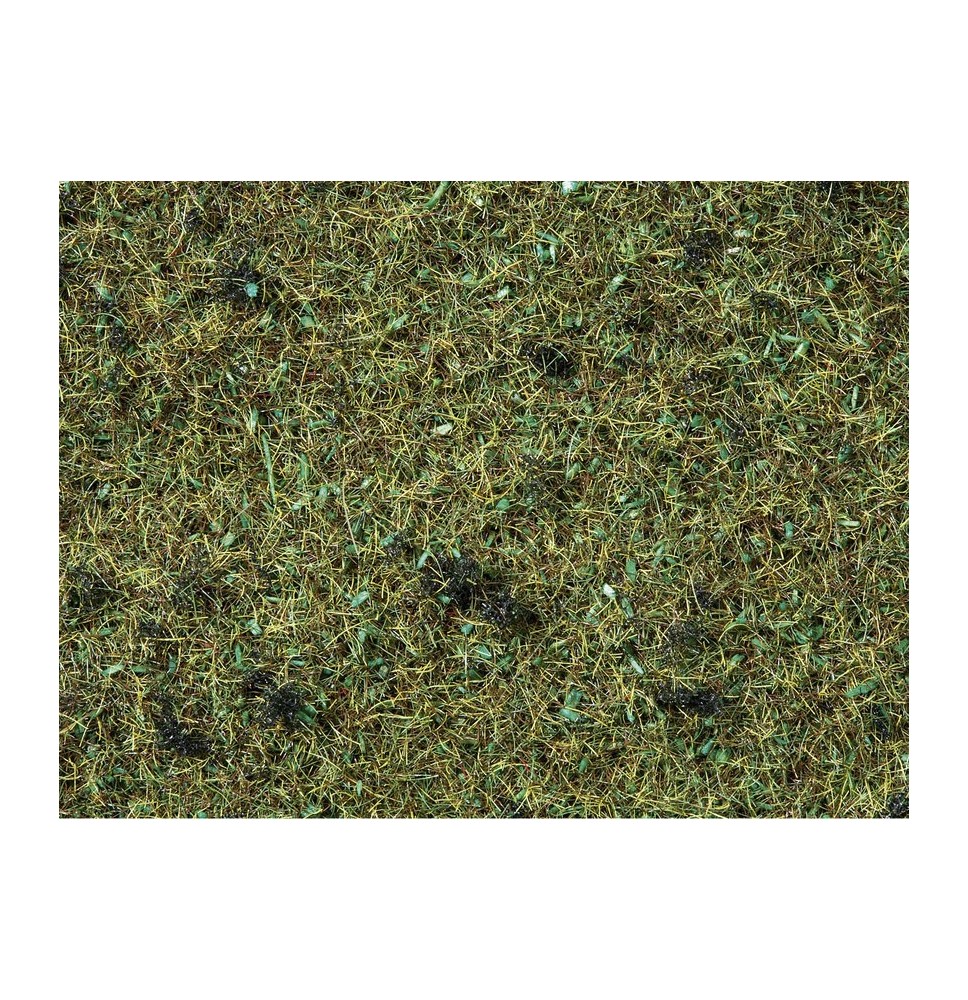 Statická tráva 2ˏ5 mm – lesní podrost