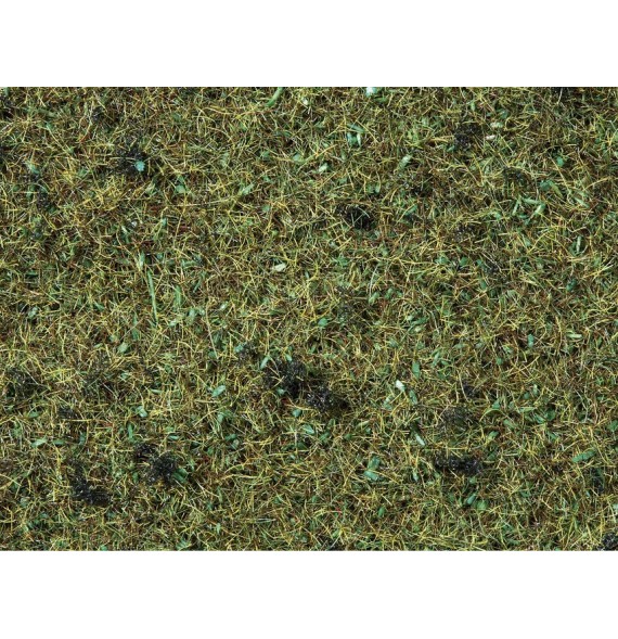 Statická tráva 2ˏ5 mm – lesní podrost