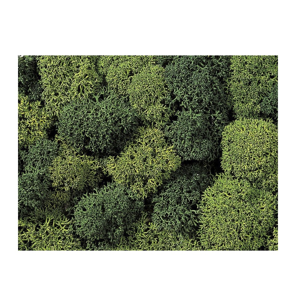 Dekorační mech – zelený