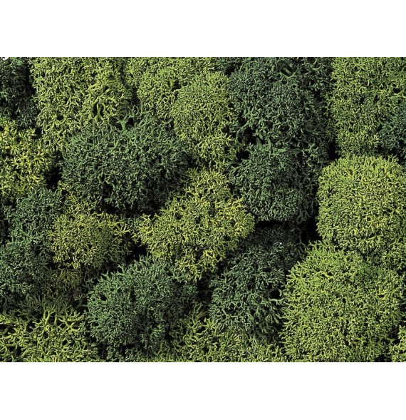 Dekorační mech – zelený