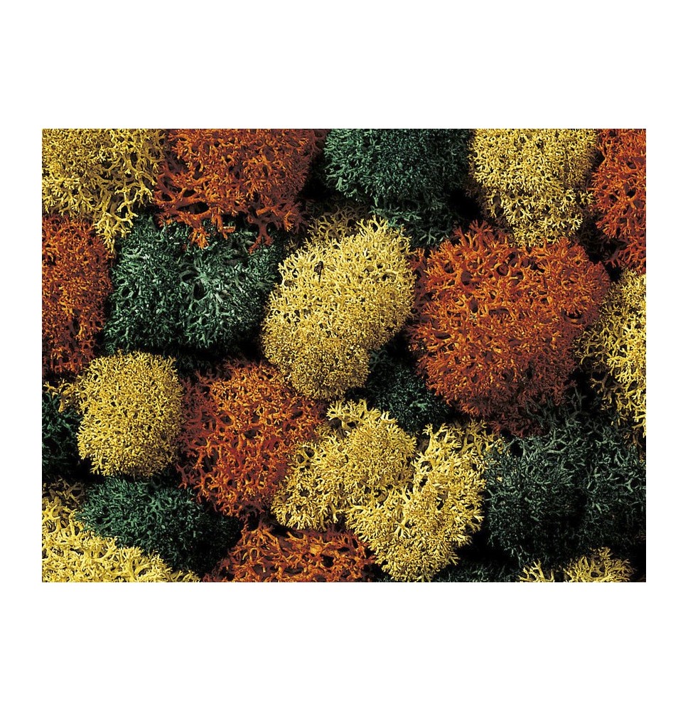 Dekorační mech – podzimní