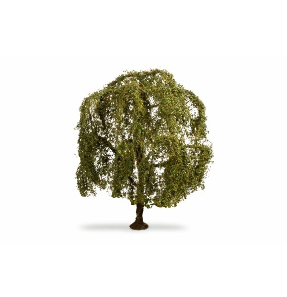 Smuteční vrba 150 mm