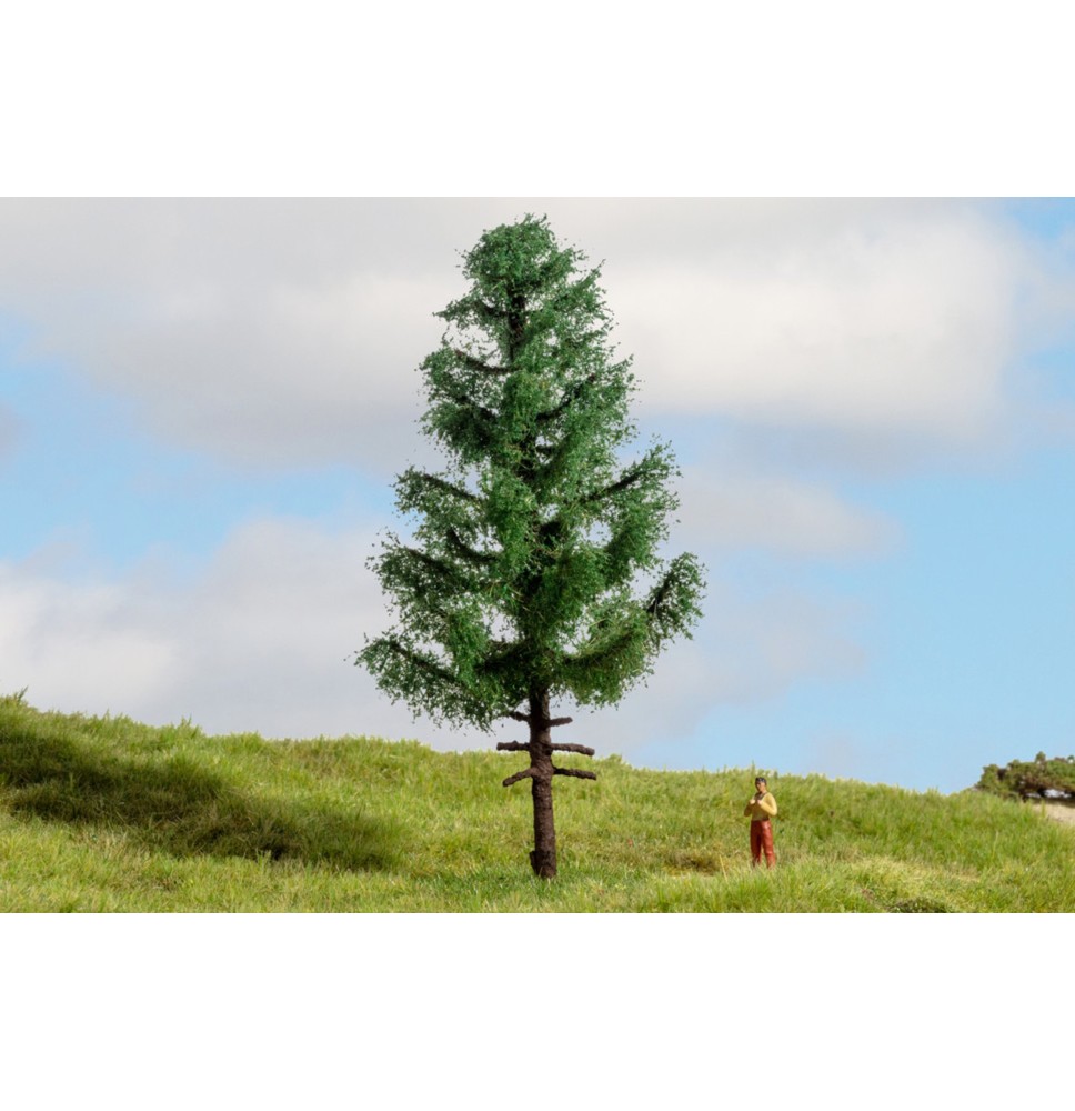 Smrk s vysokým kmenem 140 mm