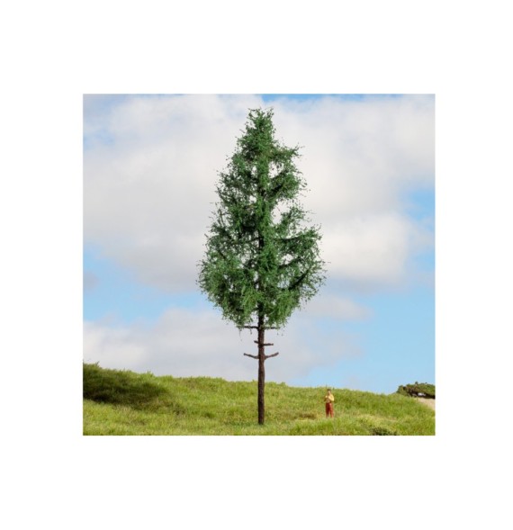 Smrk s vysokým kmenem 210 mm