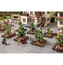 Okrasné keře 40 – 50 mm