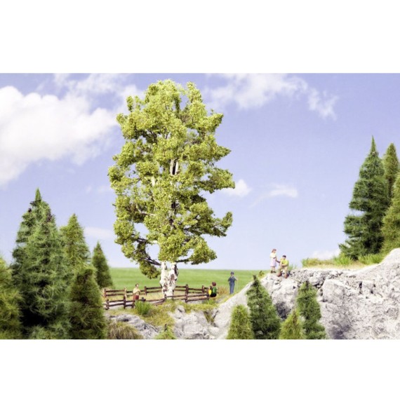 Bříza se dvěma kmeny 190 mm