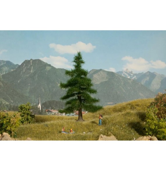 Normandská jedle 120 mm