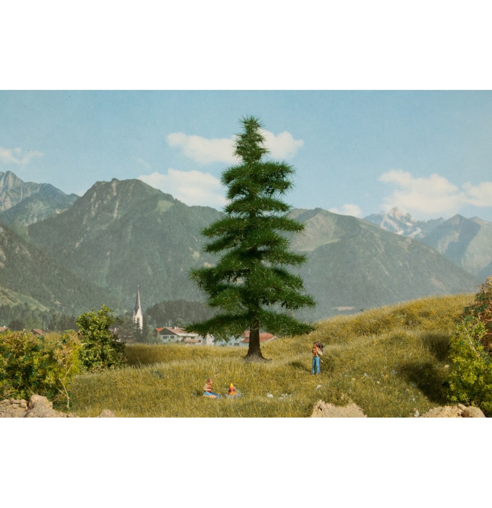 Normandská jedle 145 mm