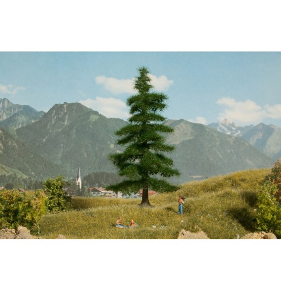 Normandská jedle 145 mm