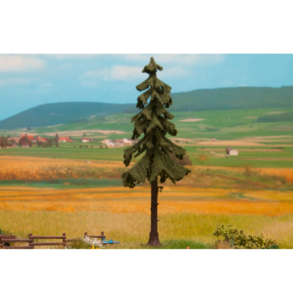 Smrk s vysokým kmenem 145 mm