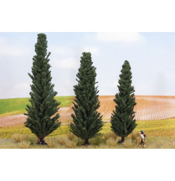 Cypřiše 100 – 130 mm