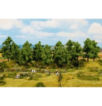 Listnaté stromy 100 – 140 mm