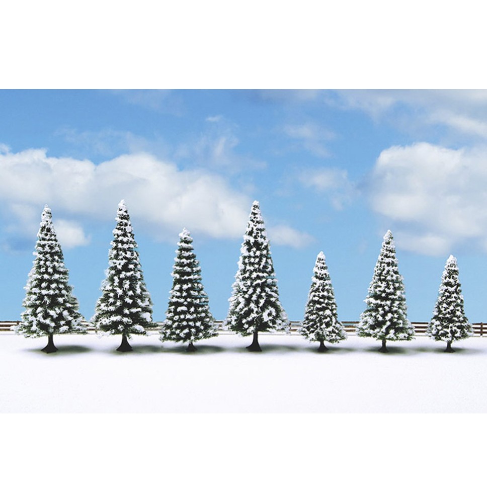 Zasněžené jedle 80 – 120 mm