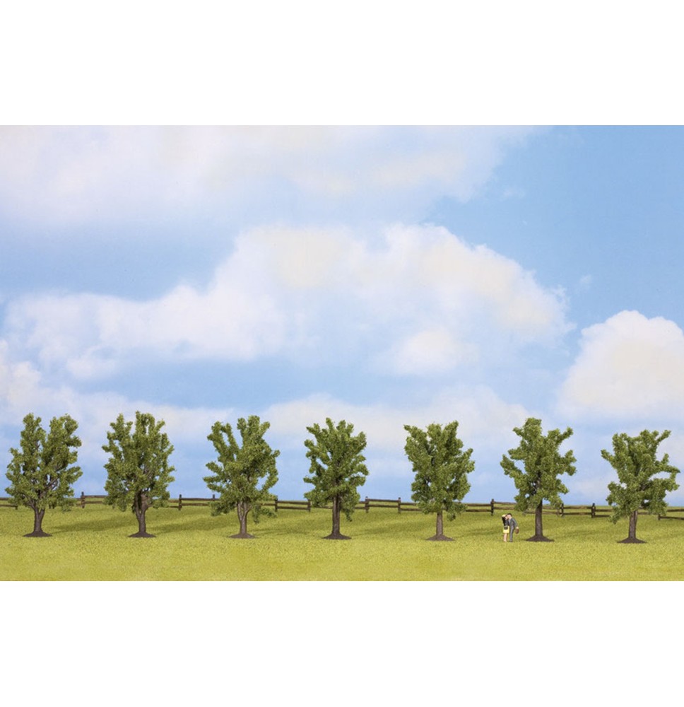 Listnaté stromy 80 mm