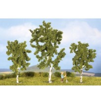 Břízy 80 – 100 mm