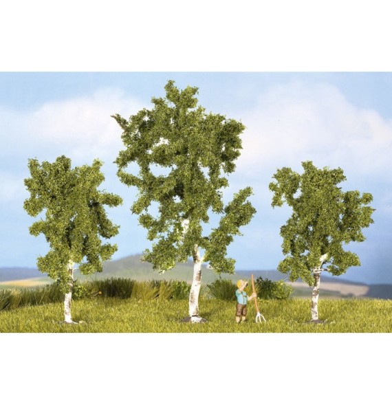 Břízy 80 – 100 mm