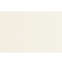 Matná akrylová barva – bílá