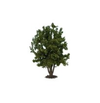 Listnatý strom 240 mm