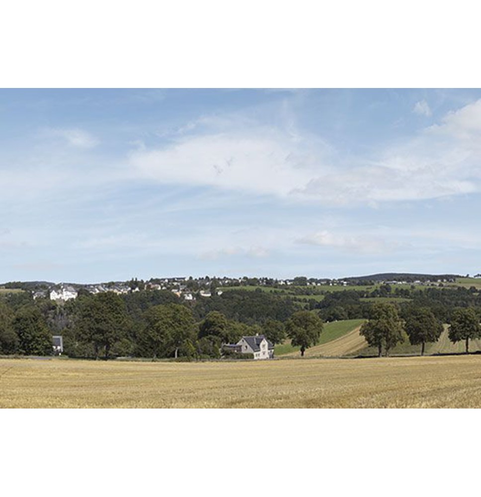 Pozadí – Erzgebirge 1