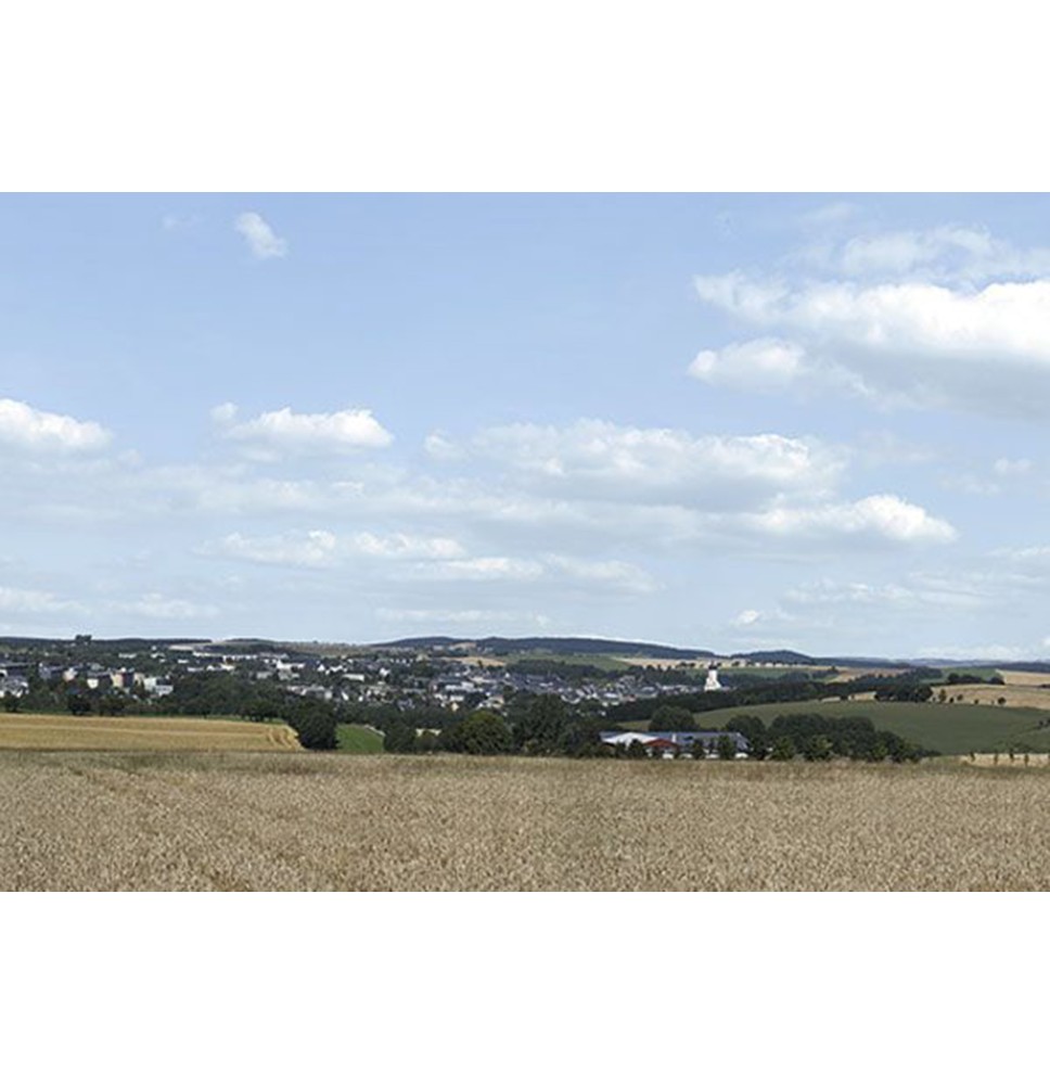 Pozadí – Erzgebirge 2