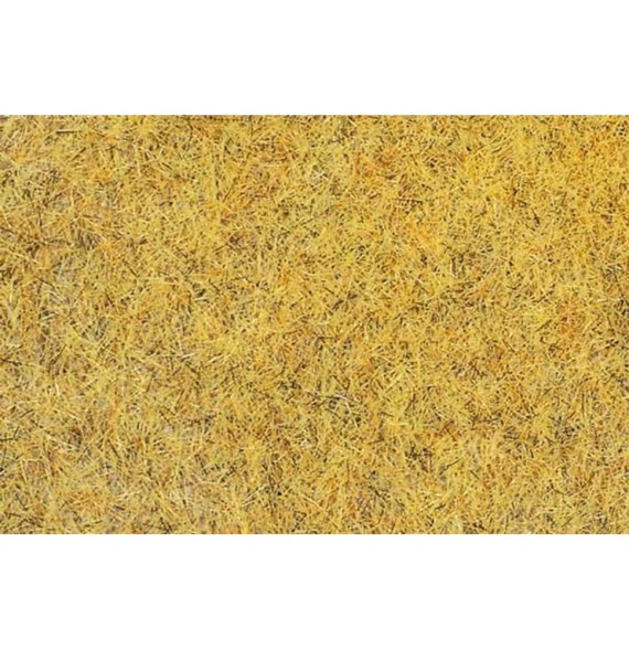 Travní koberec - kukuřice