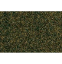 Travní koberec – lesní podrost