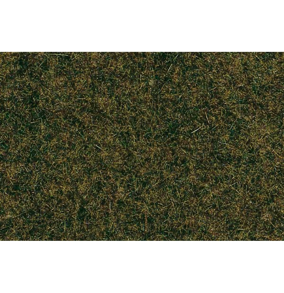 Travní koberec – lesní podrost