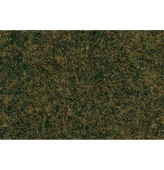 Travní koberec – lesní podrost