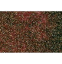 Travní koberec – borůvčí