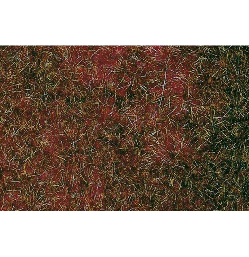 Travní koberec – borůvčí