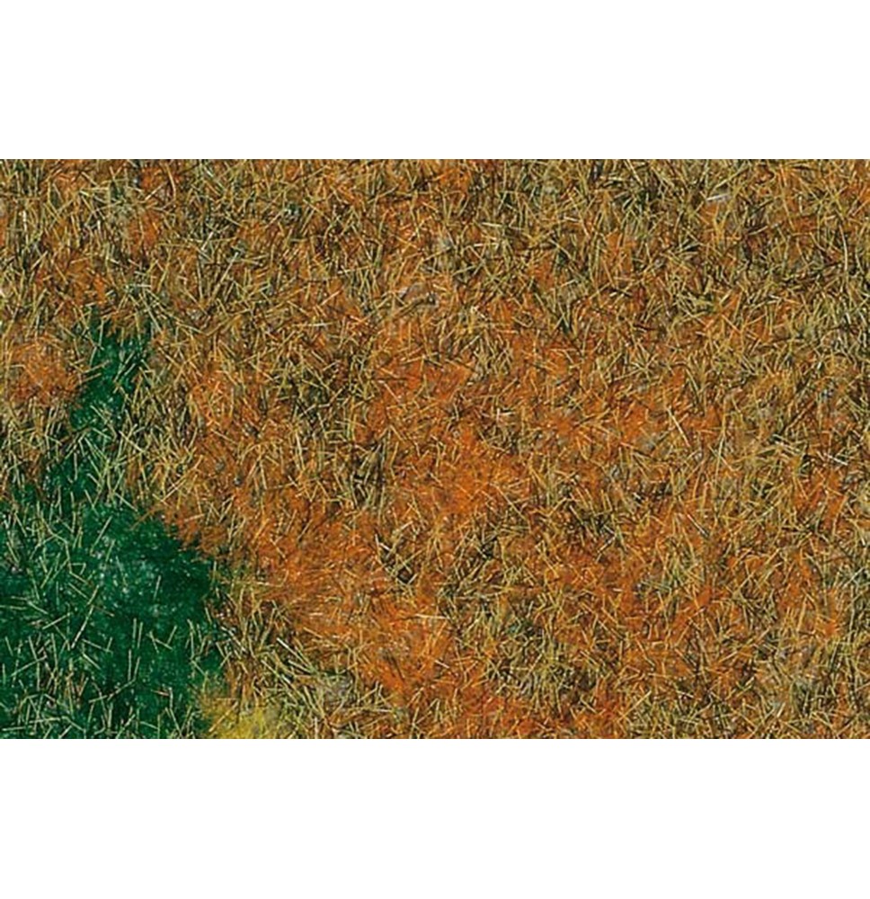 Travní koberec – louka letní