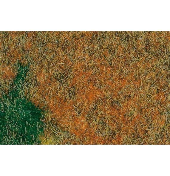 Travní koberec – louka letní