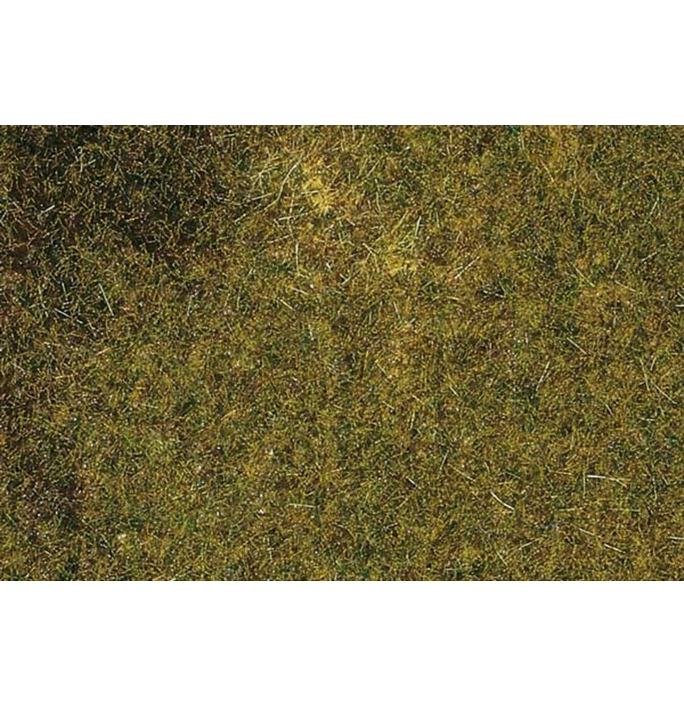 Travní koberec – louka podzimní