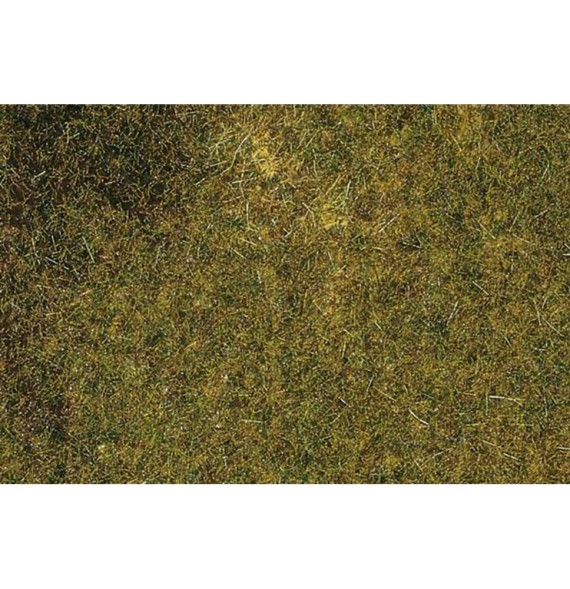 Travní koberec – louka podzimní