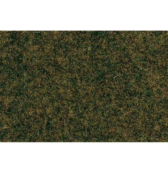 Travní posyp – lesní podrost