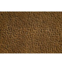 Podzimní trsy 2-6mm