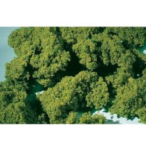 Pěnový posyp střední – květnový zelený