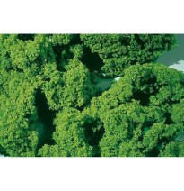 Pěnový posyp střední – světle zelený